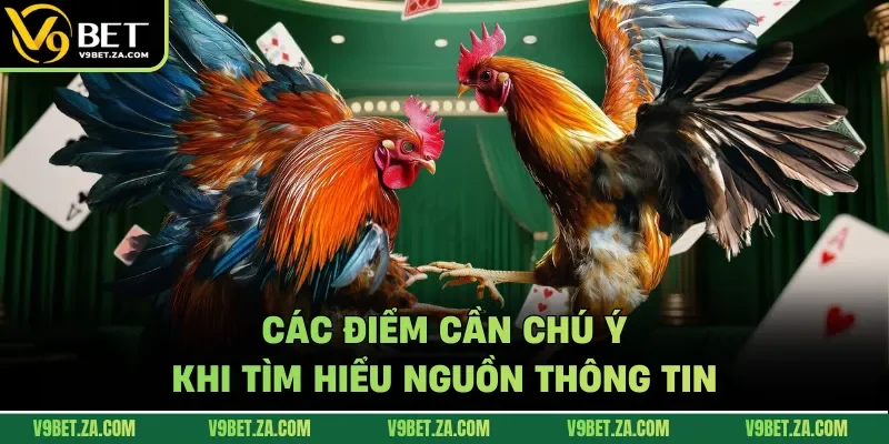Các điểm cần chú ý khi tìm hiểu nguồn thông tin