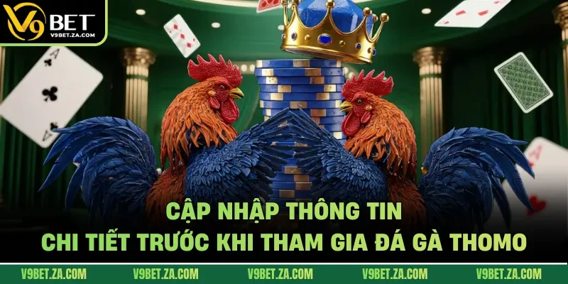 Cập nhập thông tin chi tiết trước khi tham gia đá gà Thomo