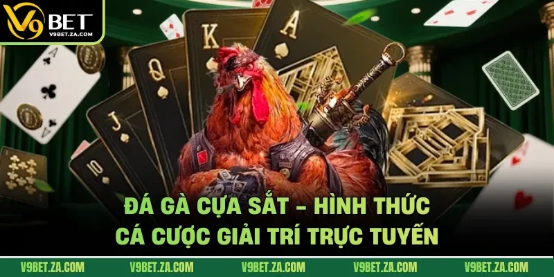 Đá gà cựa sắt
