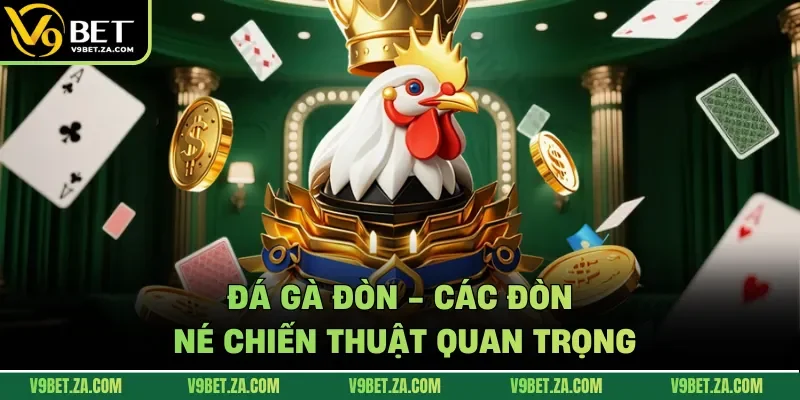 Đá gà đòn - các đòn né chiến thuật quan trọng