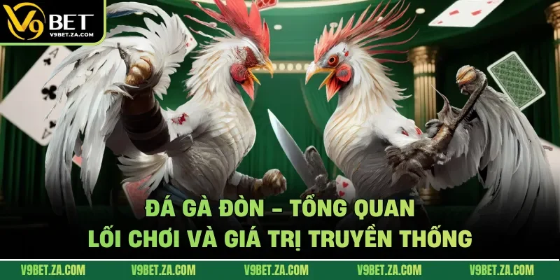 Đá gà đòn