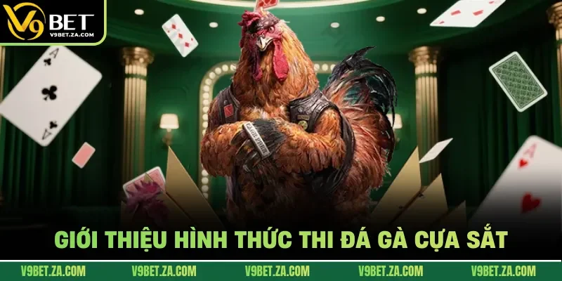 Giới thiệu hình thức đá gà cựa sắt