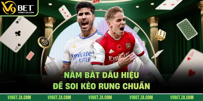 Nắm bắt dấu hiệu để soi kèo rung chuẩn