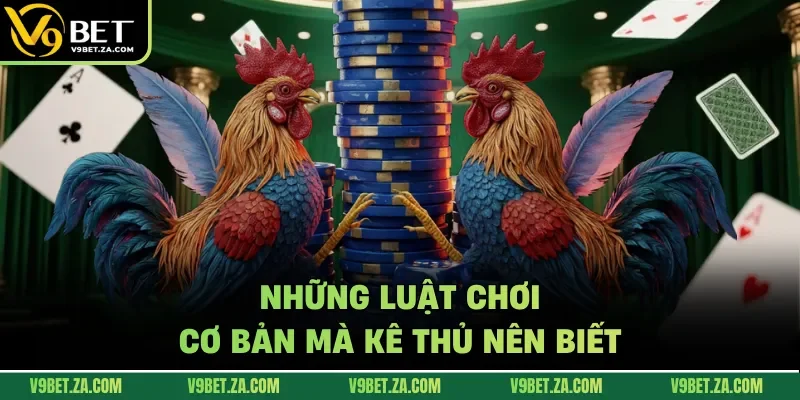 Những luật chơi cơ bản mà kê thủ nên biết