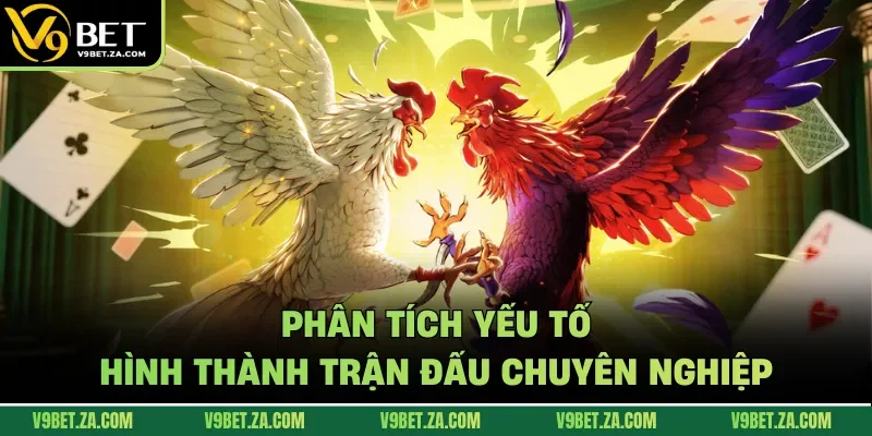 Phân tích yếu tố hình thành trận đấu chuyên nghiệp