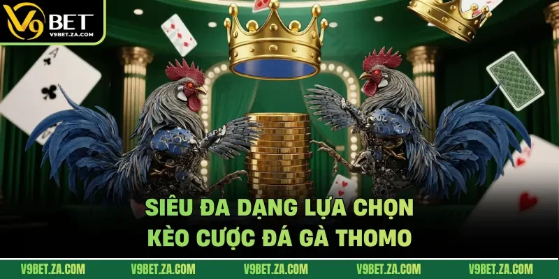 Siêu đa dạng lựa chọn kèo cược đá gà Thomo