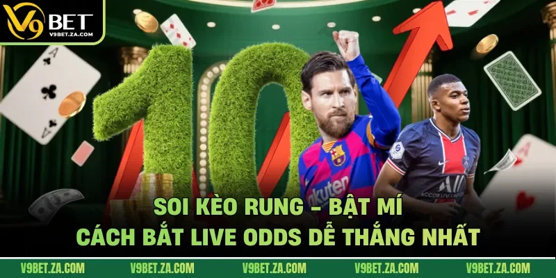 Soi kèo rung