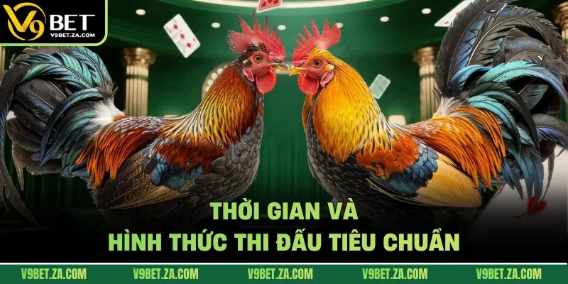 Thời gian và hình thức thi đấu tiêu chuẩn